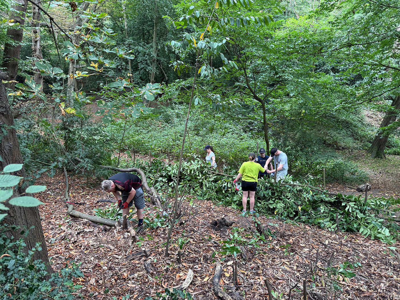 Event Image